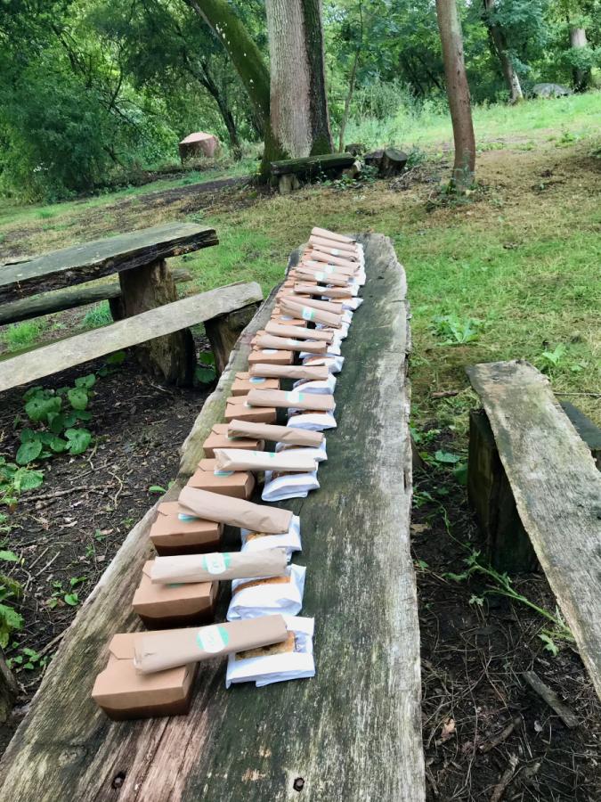 Lunch boxes laid out on a rustic table in the woods