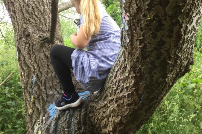 Girl perching in tree