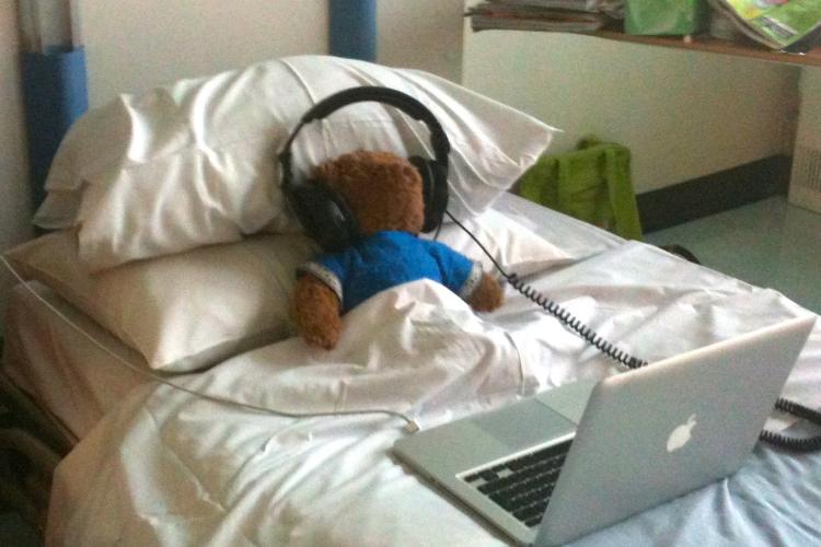 Teddy bear in hospital bed